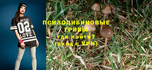 дурь Абинск