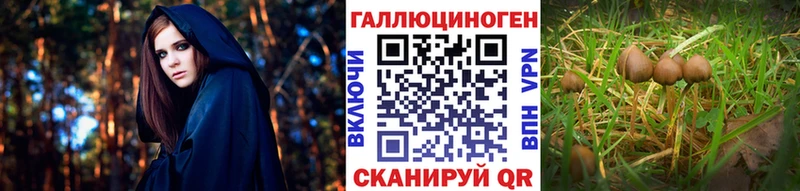 Псилоцибиновые грибы мухоморы  MEGA рабочий сайт  Воронеж 