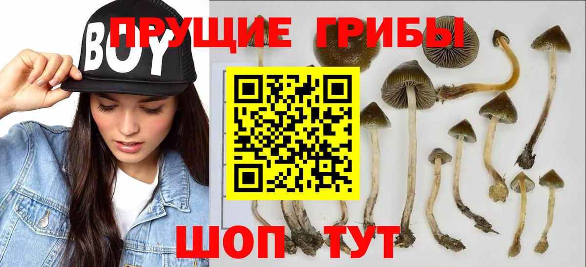 ГАШИШ Воронеж