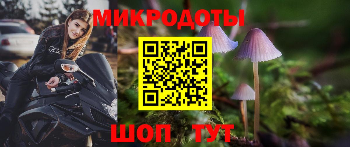 Псилоцибиновые грибы мицелий Воронеж